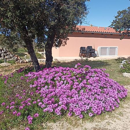 Apartamento App Bonic Veli Lošinj Exterior foto