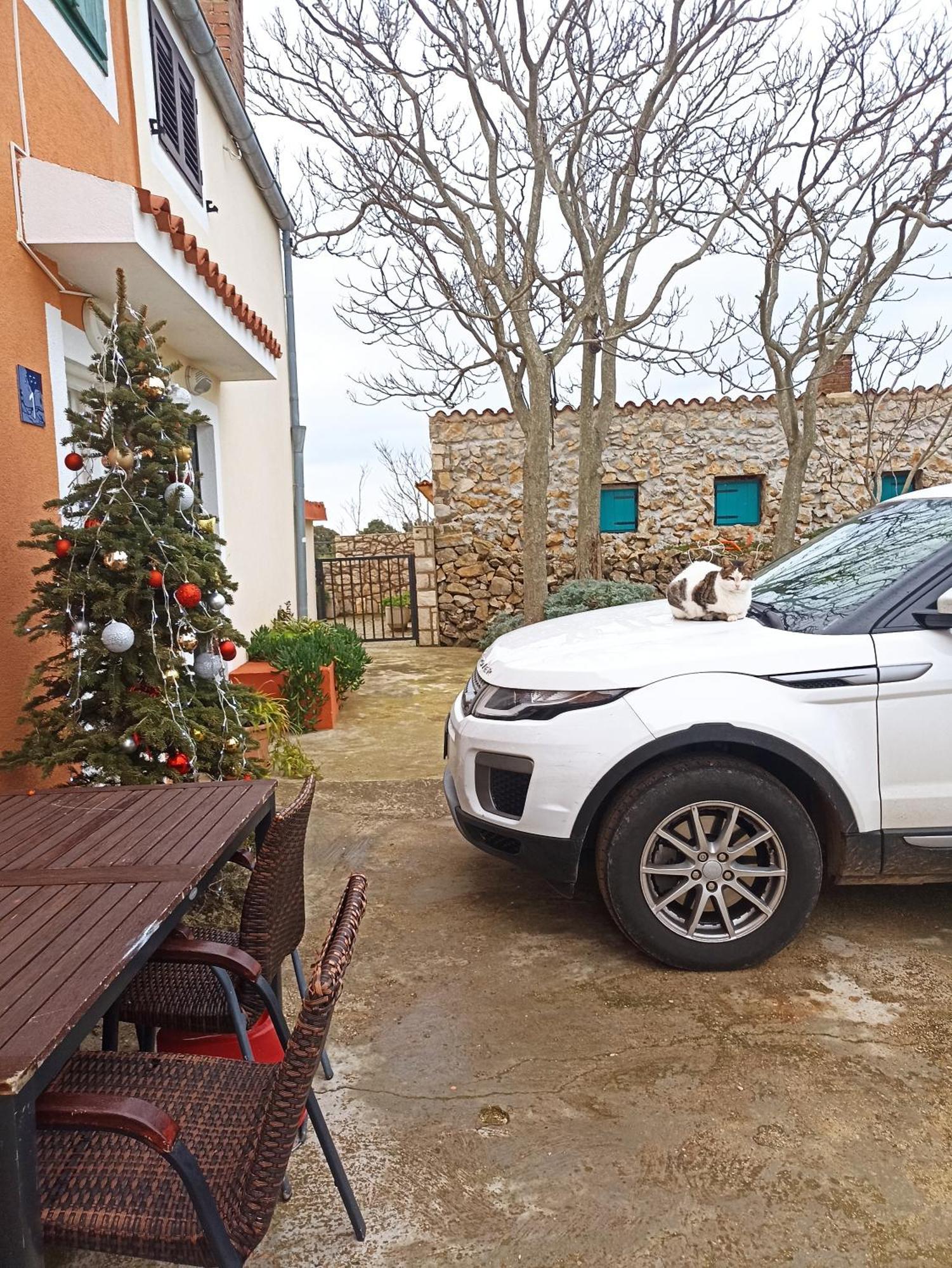 Apartamento App Bonic Veli Lošinj Exterior foto